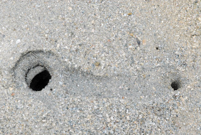 DSC_9084.jpg