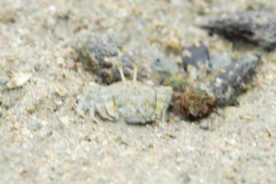 DSC_9085.jpg