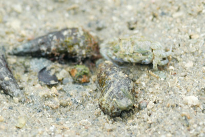 DSC_9088.jpg