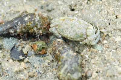 DSC_9092.jpg