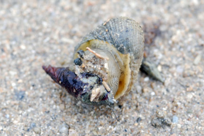DSC_9093.jpg