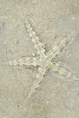 DSC_9095.jpg
