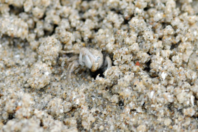 DSC_9097.jpg