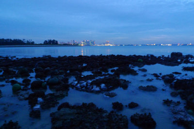 P1010434.jpg