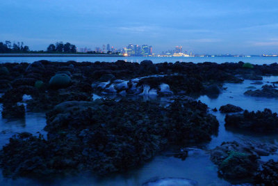 P1010438.jpg