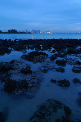 P1010440.jpg
