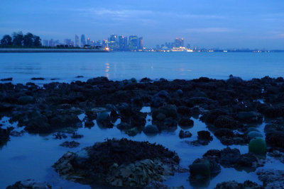 P1010441.jpg