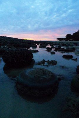 P1010442.jpg