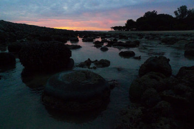 P1010443.jpg
