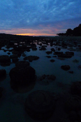 P1010444.jpg