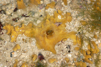 DSC_9136.jpg