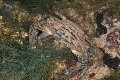 DSC_9138.jpg