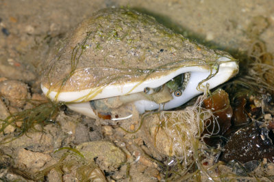 DSC_9154.jpg