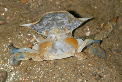 DSC_9161.jpg