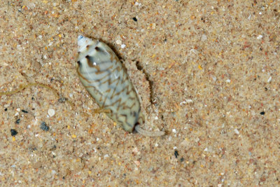 DSC_9174.jpg