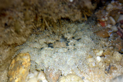 DSC_9191.jpg