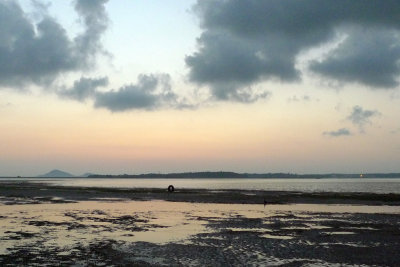 P1010571.jpg