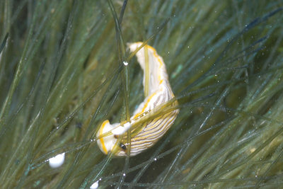 DSC_9318.jpg