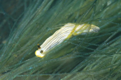 DSC_9320.jpg