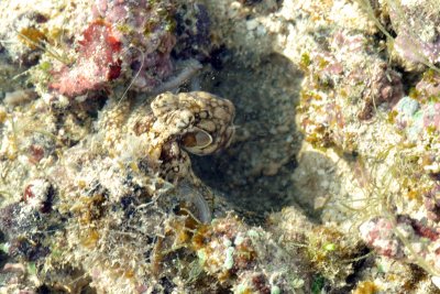 DSC_9323.jpg