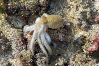 DSC_9324.jpg