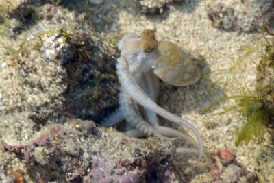 DSC_9326.jpg