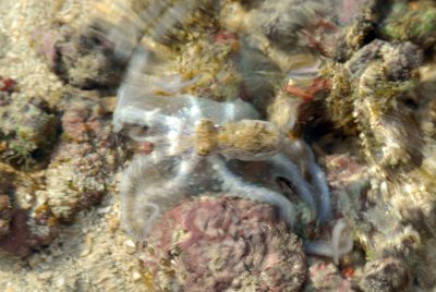 DSC_9328.jpg