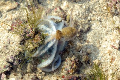 DSC_9330.jpg