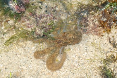 DSC_9333.jpg