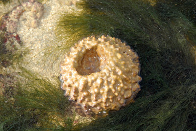 DSC_9341.jpg