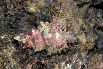 DSC_9351.jpg
