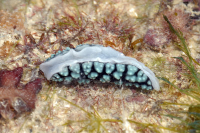 DSC_9352.jpg