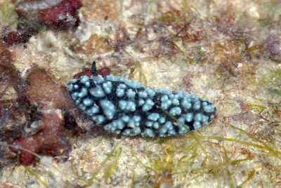 DSC_9353.jpg