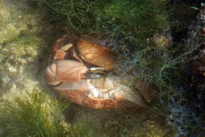 DSC_9358.jpg