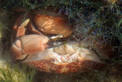 DSC_9359.jpg