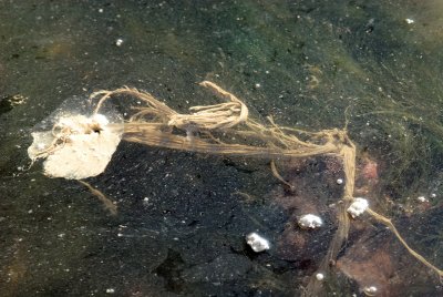DSC_9362.jpg