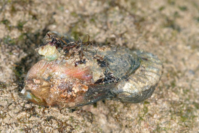 DSC_9371.jpg