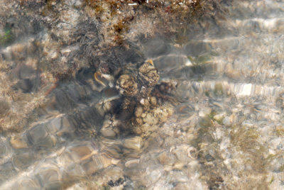 DSC_9372.jpg