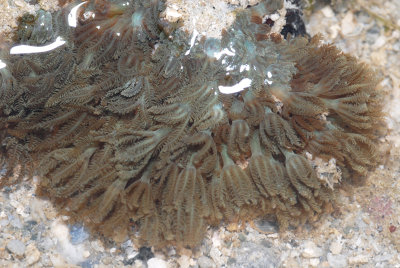 DSC_9383.jpg