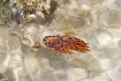 DSC_9408.jpg