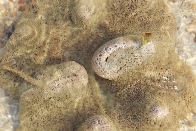 DSC_9412.jpg