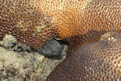 DSC_9414.jpg