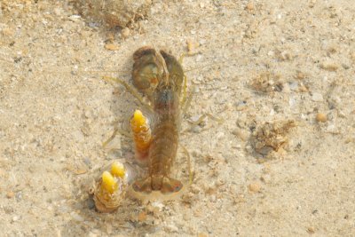 DSC_9419.jpg