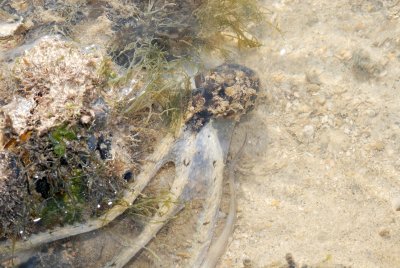 DSC_9420.jpg