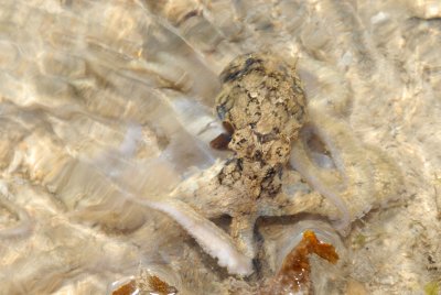 DSC_9422.jpg