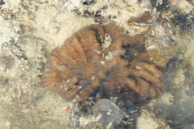 DSC_9442.jpg