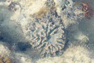 DSC_9443.jpg