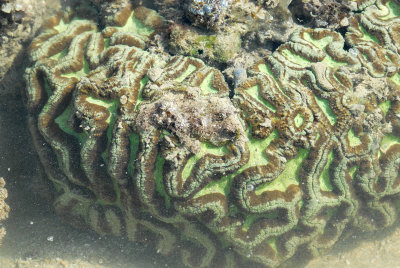 DSC_9449.jpg
