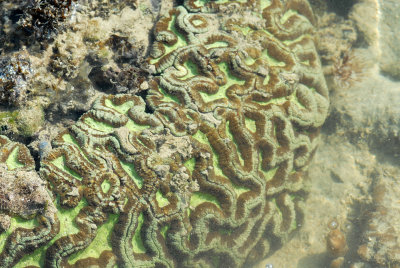 DSC_9450.jpg