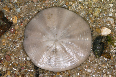 DSC_9560.jpg